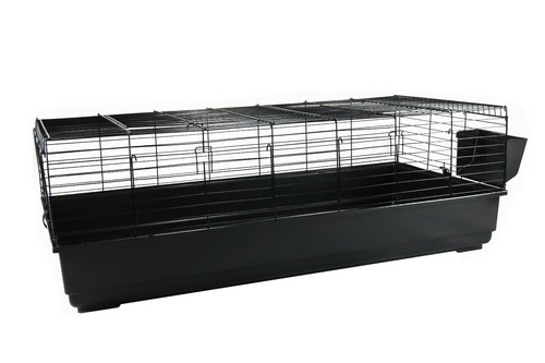 Rabbit guinea pig extra - rabbit,