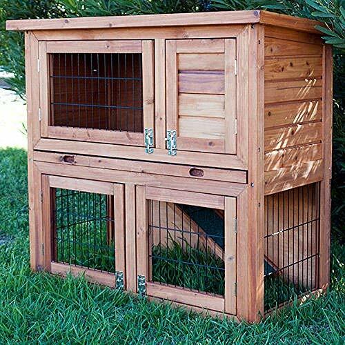 Bunny business tier - bunny, double