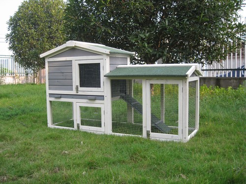 Rabbit guinea pig hutch - guinea,
