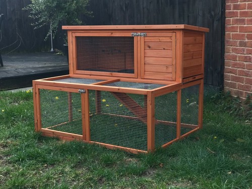 Rabbit guinea pig hutch - rabbit,