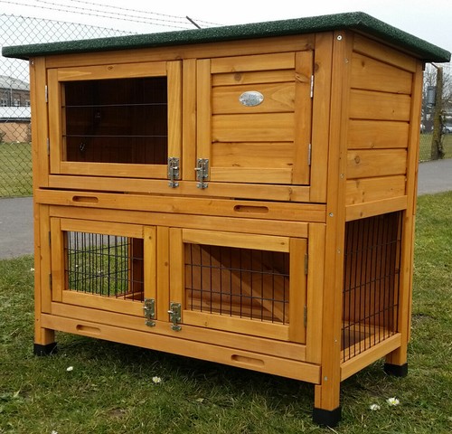 Rabbit hutch guinea pig - rabbit,