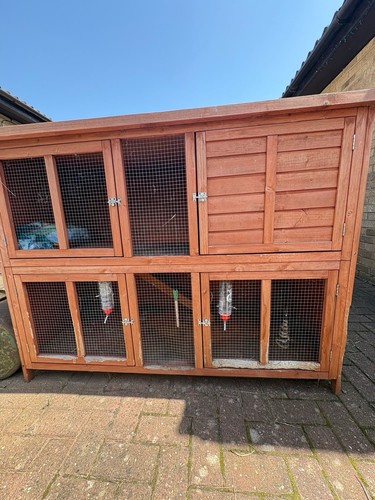 Large rabbit hutch guinea - hutch,