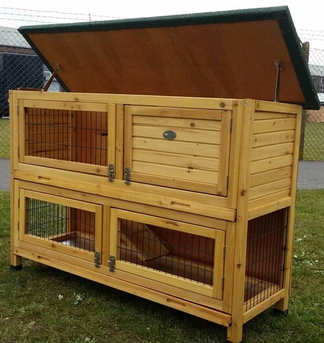Rabbit hutch guinea - rabbit,