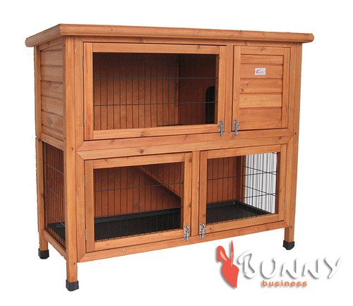 Rabbit hutch guinea - rabbit,