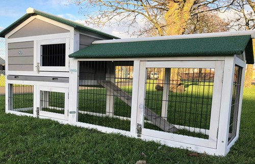 Large rabbit hutch - guinea, pig