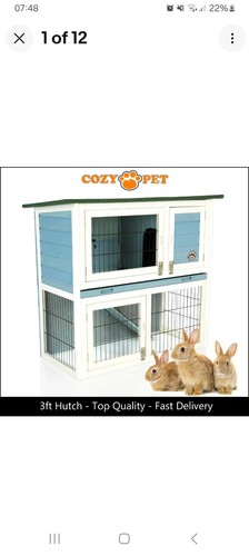 Rabbit hutch 3ft - hutch, by