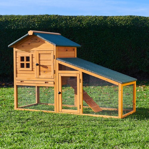 Rabbit hutch guinea pig - guinea,