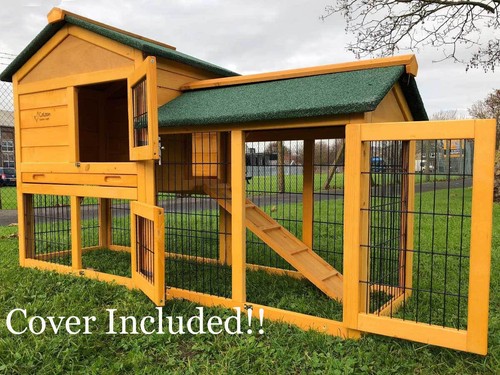 Rabbit hutch guinea pig - rabbit,