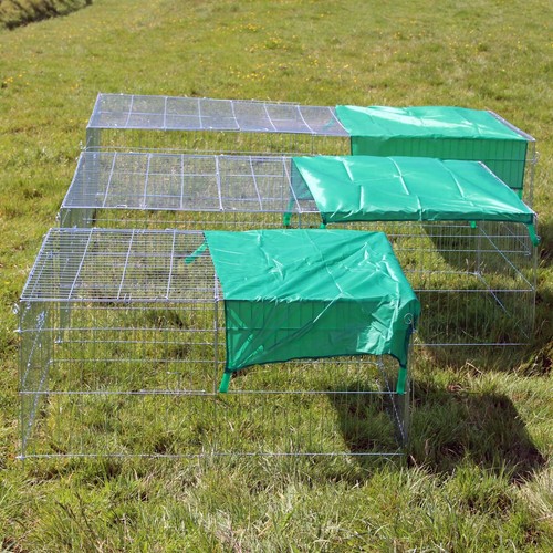 Metal run chicken rabbit - metal,
