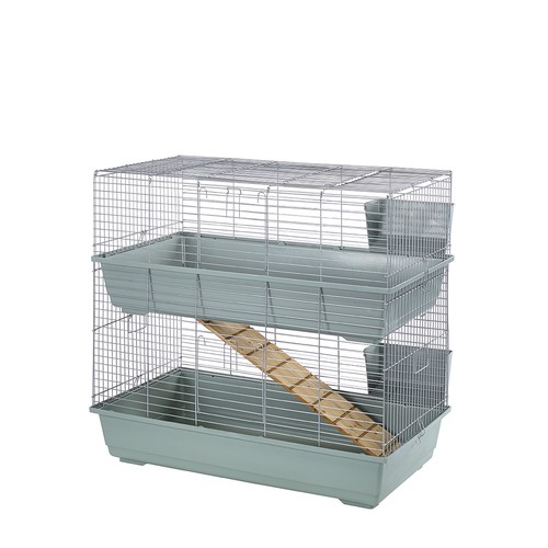 Rabbit guinea pig - pig, large