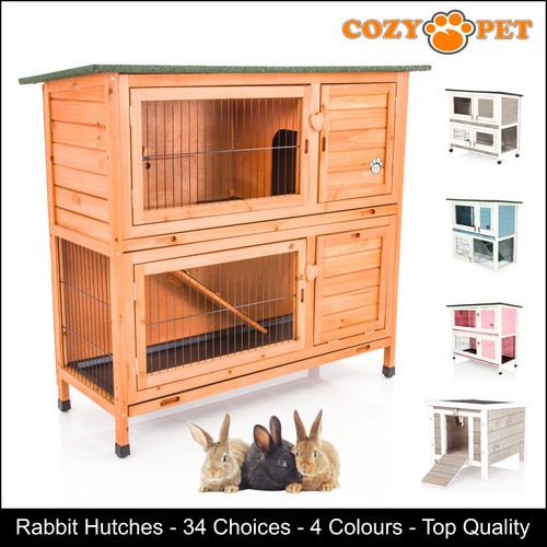 Rabbit hutch guinea - rabbit, pig
