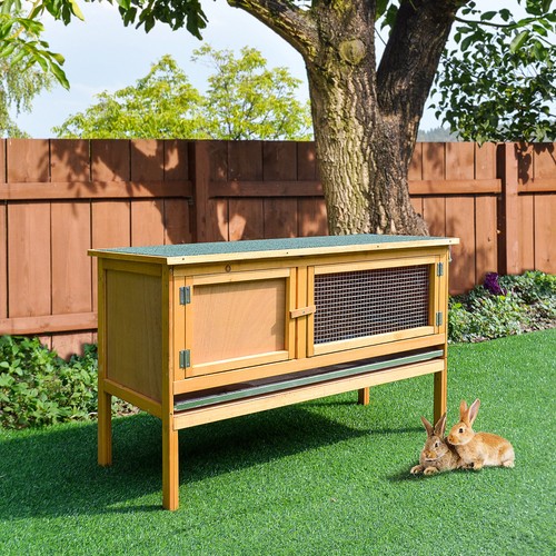 Rabbit hutch outdoor guinea - outdoor,