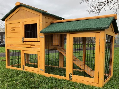 Rabbit hutch guinea - rabbit, pig