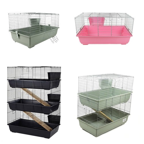 Rabbit guinea pig small - guinea,