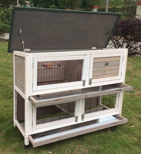 Large rabbit hutch - rabbit,