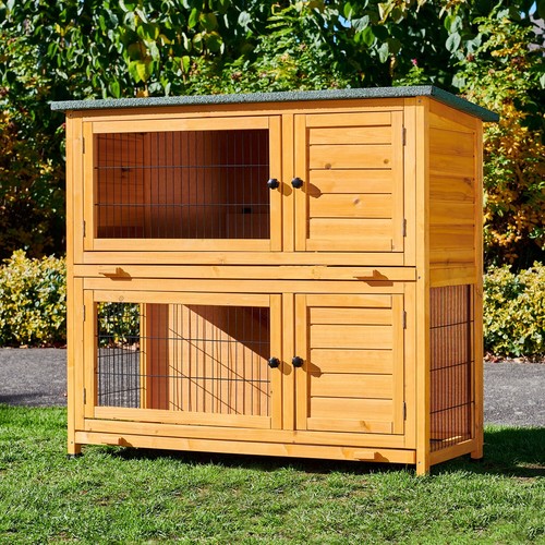 Rabbit hutch guinea pig - guinea,