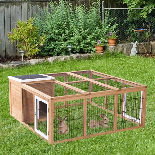 Rabbit hutch outdoor guinea - outdoor,,